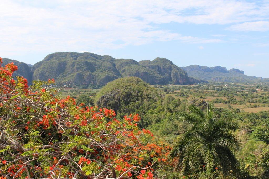 veguerotobaccofarm32.jpg