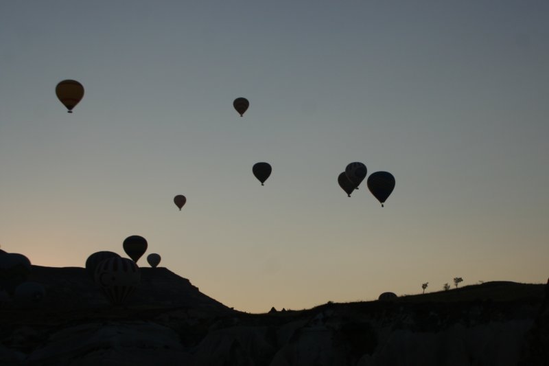 upupandaway35.jpg