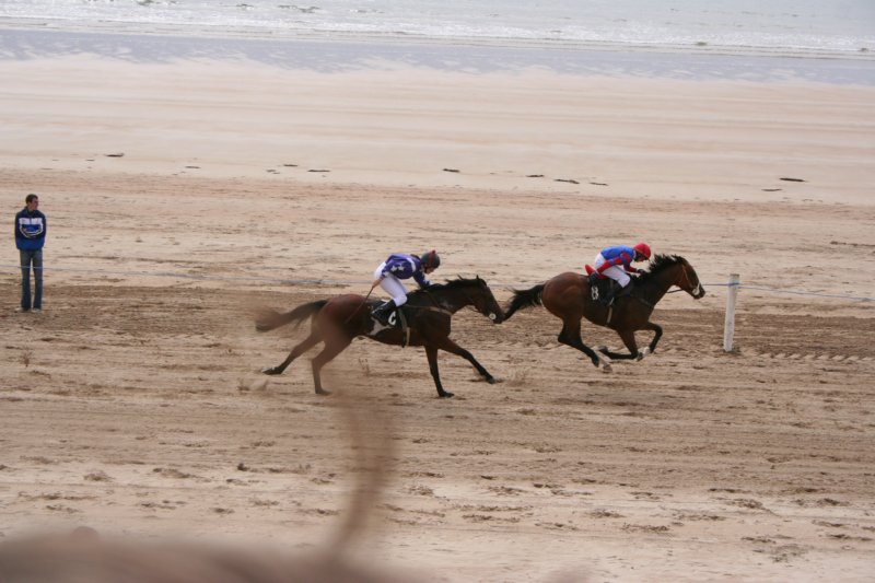 dooloughhorseraces01.jpg