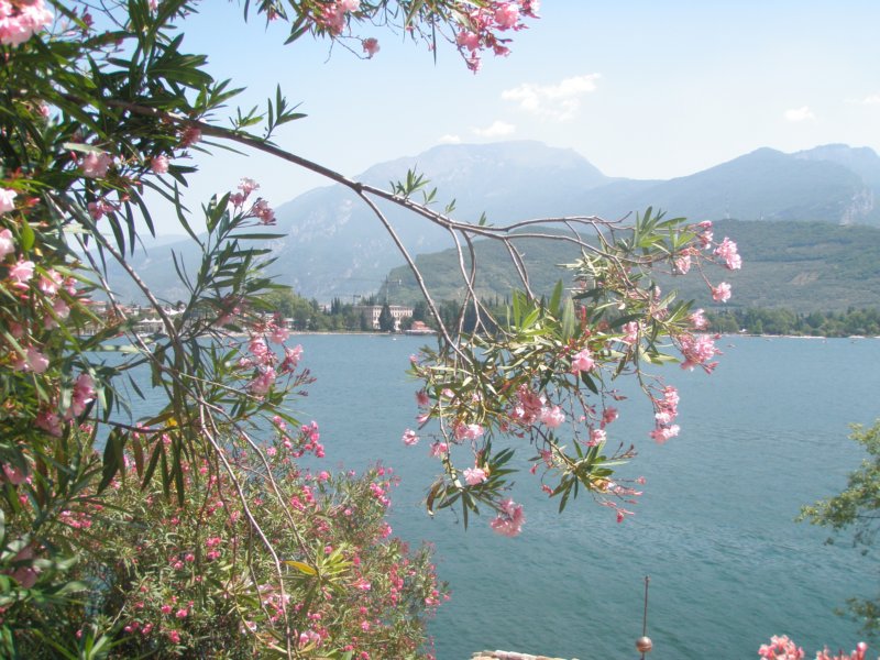 lakegarda80.jpg