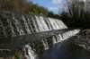 thedodder04_small.jpg
