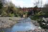 thedodder06_small.jpg