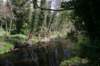 thedodder16_small.jpg