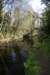 thedodder18_small.jpg