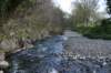thedodder28_small.jpg