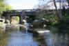thedodder32_small.jpg