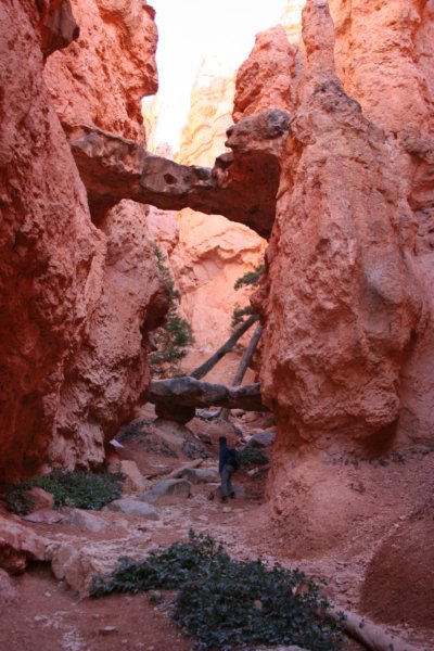 brycecanyon101.jpg