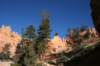 brycecanyon102_small.jpg