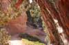 brycecanyon103_small.jpg