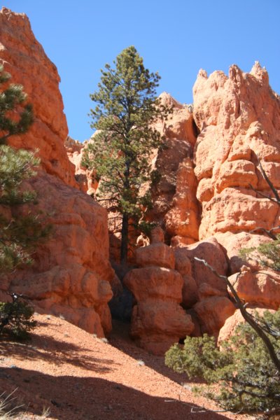 brycecanyon11.jpg