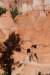 brycecanyon111_small.jpg