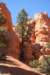 brycecanyon11_small.jpg