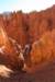 brycecanyon24_small.jpg