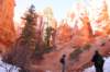 brycecanyon29_small.jpg