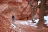 brycecanyon36_small.jpg