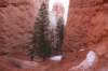 brycecanyon37_small.jpg