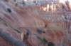 brycecanyon38_small.jpg