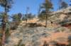 brycecanyon46_small.jpg