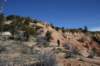 brycecanyon51_small.jpg