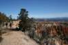 brycecanyon55_small.jpg