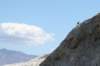 deathvalley55_small.jpg