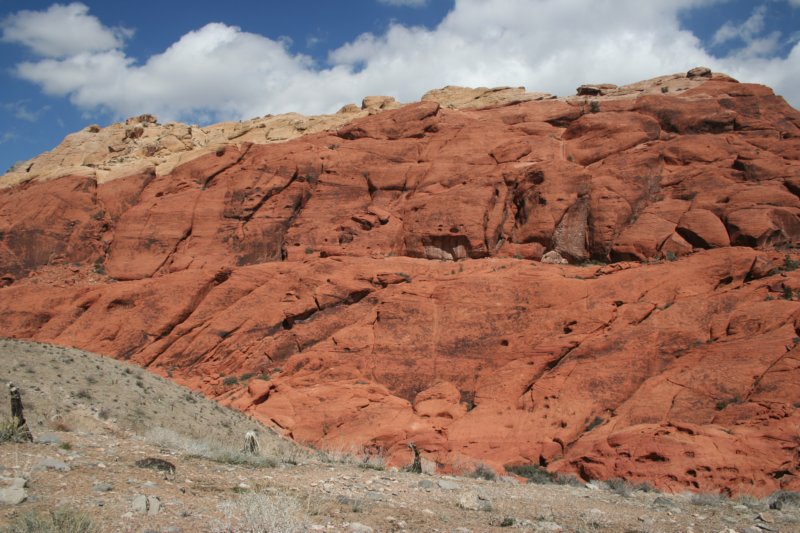 redcanyon5.jpg